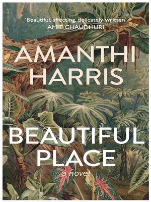 cover image of Beautiful Place